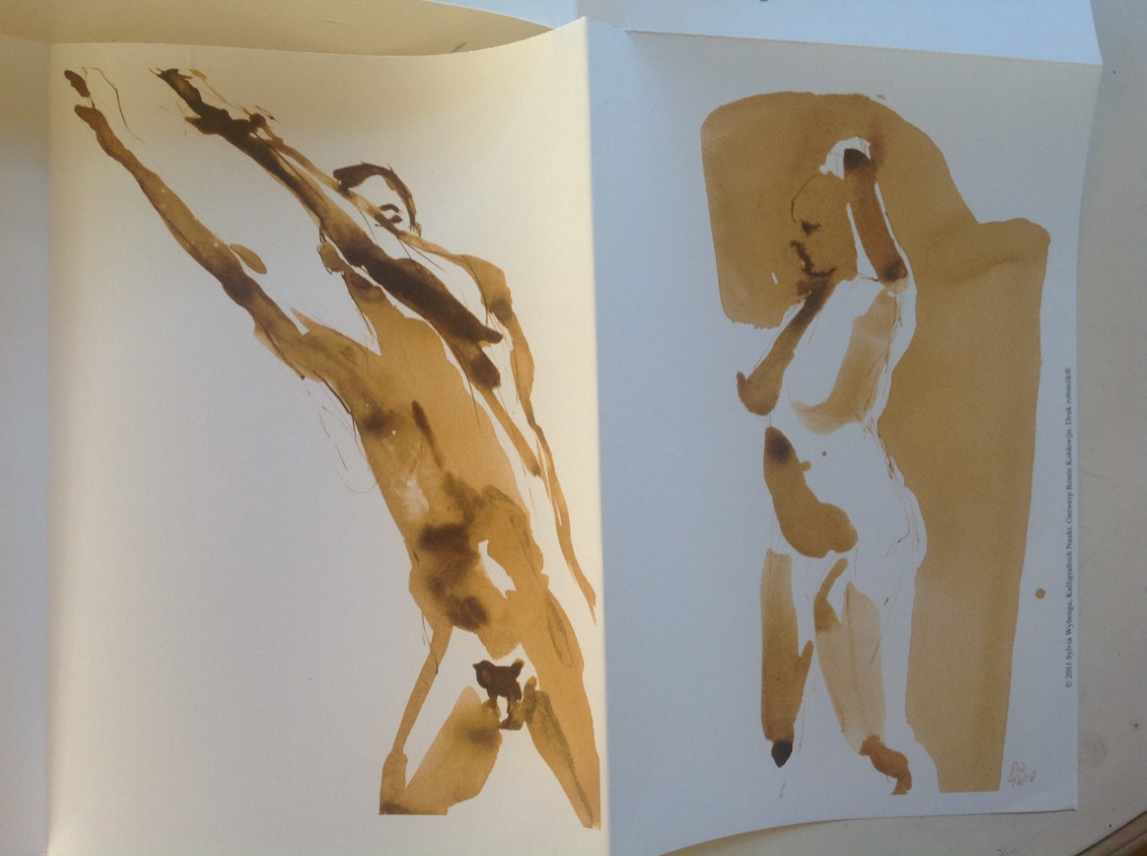 Niet of onleesbaar gesigneerd - Sylvia Wybenga - Kalligrafisch Naakt - 32 portretten kopen? Bied vanaf 1!