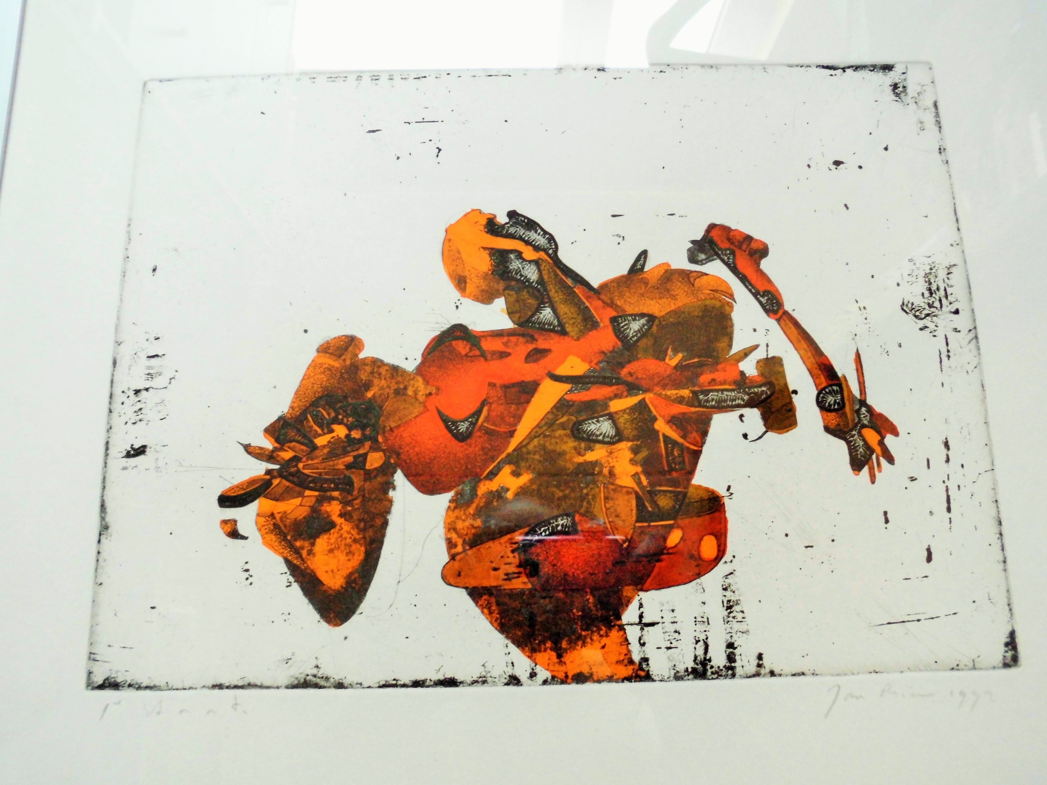 Jan Prins - Ingekleurde Grafiek - Abstract kopen? Bied vanaf 25!