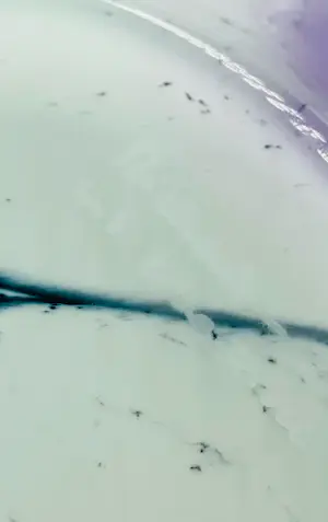 Hans Jurgen Richartz - Handgeblazen opaline vaas door Hans-Jürgen Richarz, Germany kopen? Bied vanaf 120!