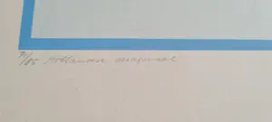 Han Jansen - Hollandse diagonaal kopen? Bied vanaf 100!