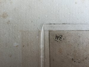 Willem de Zwart - Ets met 4 poezen kopen? Bied vanaf 75!