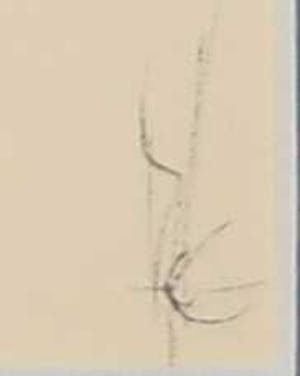 Melle Oldeboerrigter - Inkttekening op papier, Zonder titel kopen? Bied vanaf 1!