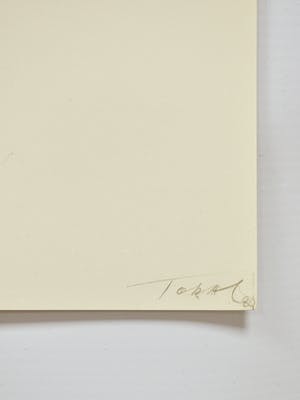 Mario Toral - Composition I & II kopen? Bied vanaf 1!