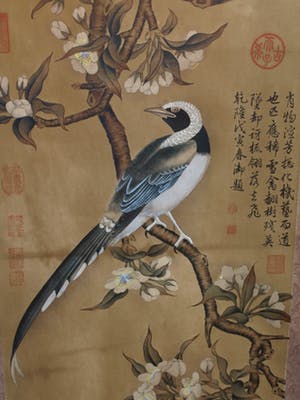 Niet of onleesbaar gesigneerd - Japanse of Chinese scroll, “Vogel op tak” - Aquarelverf en inkt op papier kopen? Bied vanaf 1!