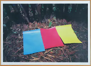 Roy Villevoye - Primary Colors in Kombrai - Ingelijst kaufen? Bieten Sie von 200!