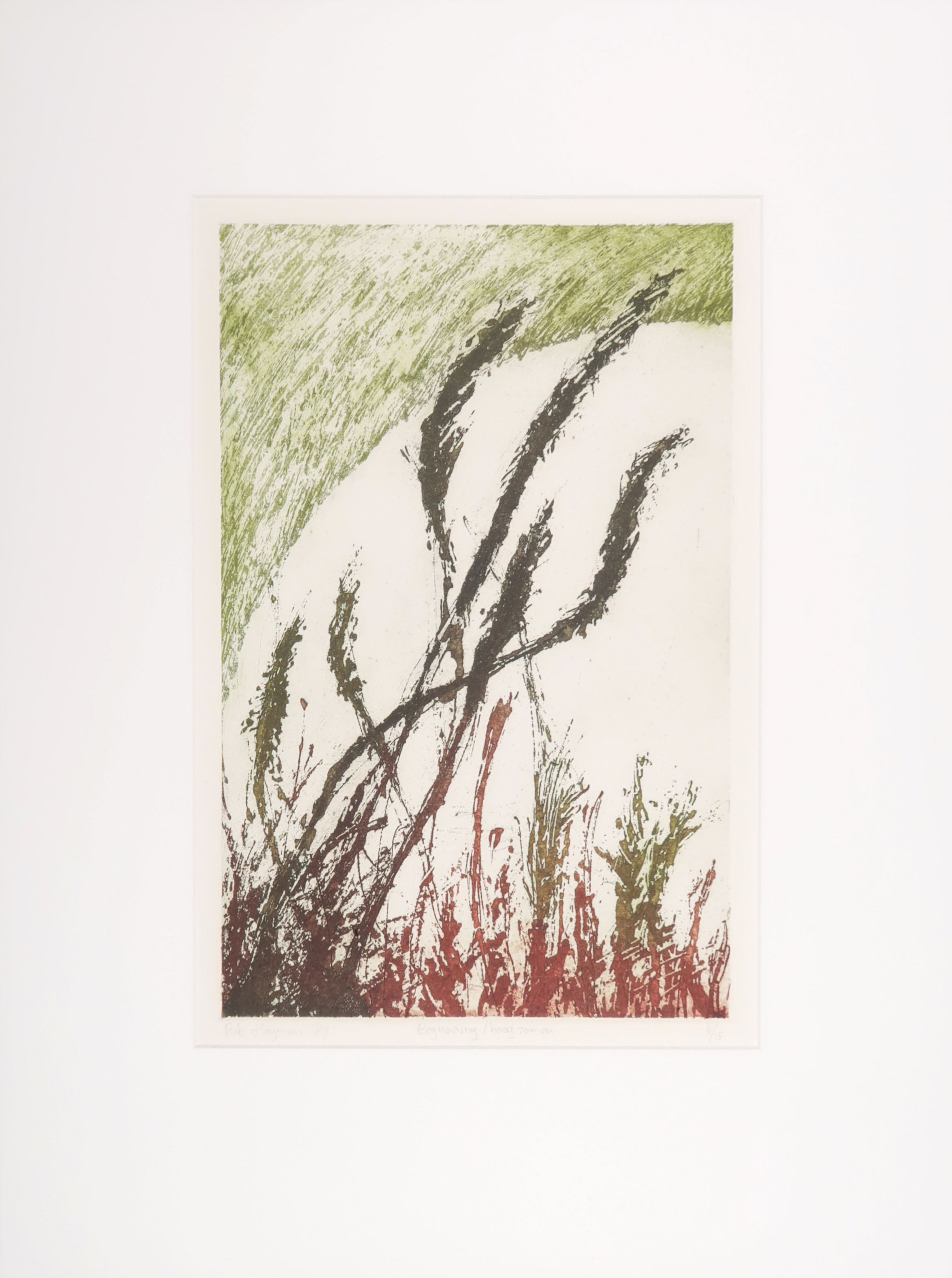 Rob Heijman - Kleurenets, Hoogzomer kopen? Bied vanaf 1!