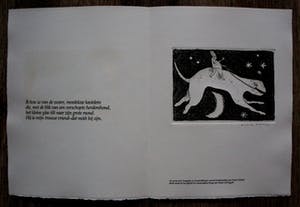 Frank Lodeizen - Ets: Vreugden en Verschikkingen... kopen? Bied vanaf 49!