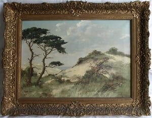 Peter Cox - Olieverf op doek , Duinlandschap – ingelijst – 70 x 90 cm kopen? Bied vanaf 200!