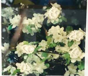 Regula Muller - Zakdoek (unicaat) verkocht voor € 125!