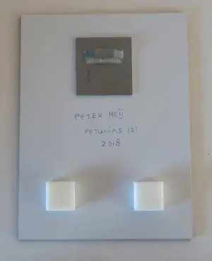Peter Heij - Petunias kopen? Bied vanaf 110!