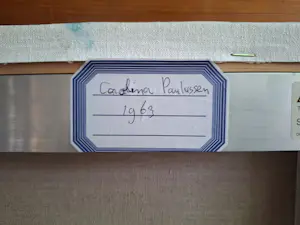 Carolina Paulussen - De Poort kopen? Bied vanaf 350!