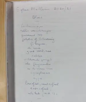 Sophie Mellema - Gemengde techniek op paneel, Bloed - Ingelijst (Groot) kopen? Bied vanaf 100!