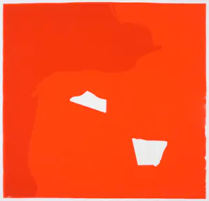 Lourdes Castro - Zeefdruk op rhodoïde, Sombra projectada de Medalla kopen? Bied vanaf 750!