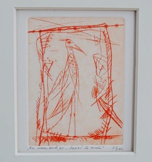 Ko Oosterkerk - Vogel in tuin kopen? Bied vanaf 75!