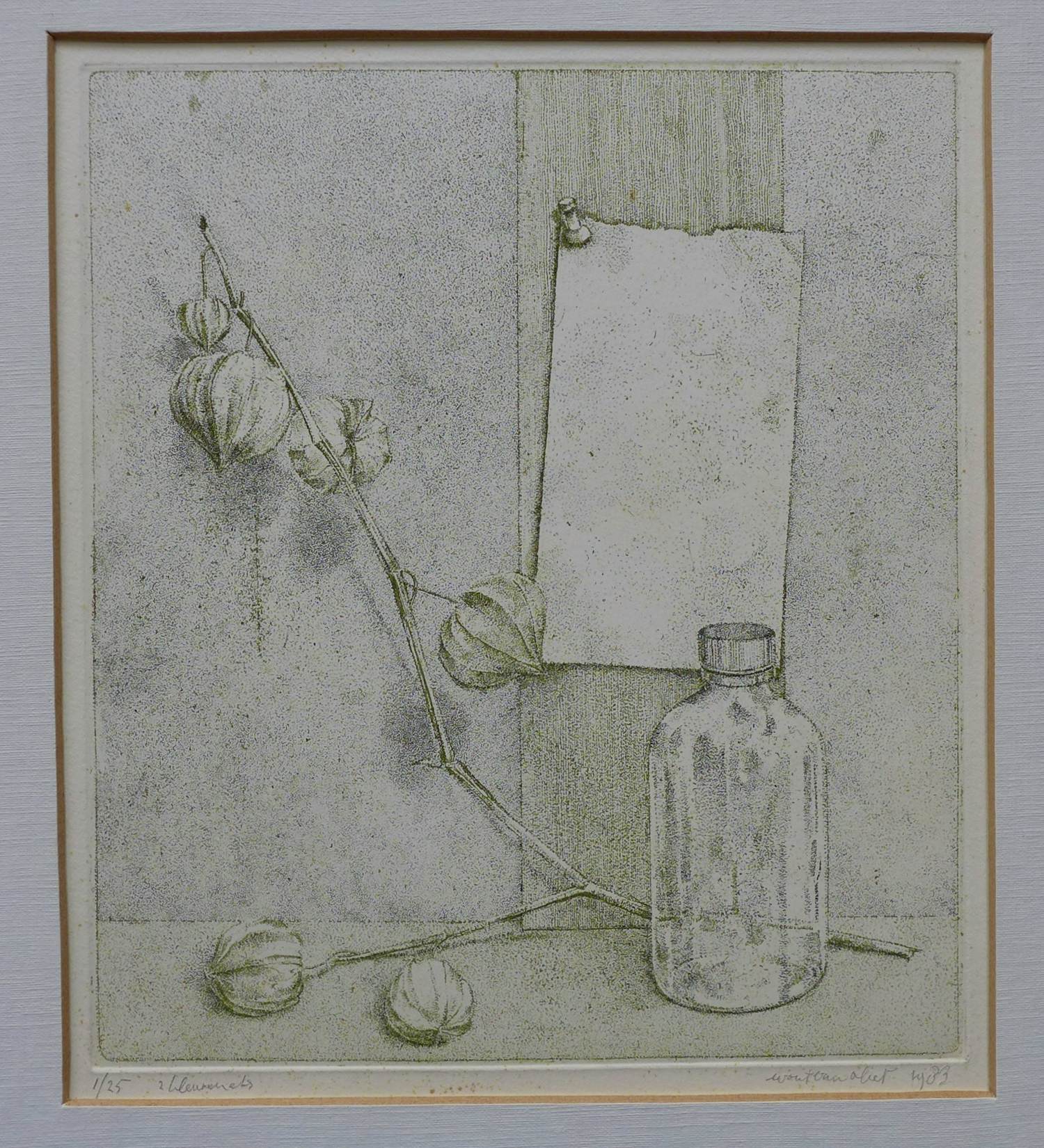 Wout van Vliet - Stilleven met tak van lampionplant - Gesigneerd - 2 kleurenets kopen? Bied vanaf 35!