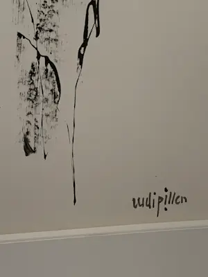 Rudi Pillen - Naakt kopen? Bied vanaf 1150!