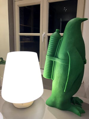 William Sweetlove - small cloned green Pinguin with water bottle kopen? Bied vanaf 360!