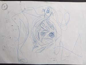 Theo Wolvecamp - Inkt op papier. dubbelzijdig kopen? Bied vanaf 80!