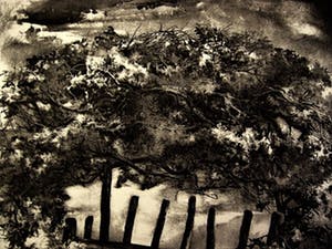 Aart van Dobbenburgh - Fraai Realistisch 1963 Litho "Landhek in Limburg" gesigneerd kopen? Bied vanaf 10!