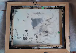 Matt Lamb - zwart - veelkleurig - Catalogusnummer: SBI-679-2007 kopen? Bied vanaf 300!