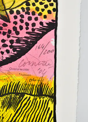 Corneille - Friesland kopen? Bied vanaf 200!