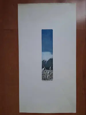 Sjoerd Bakker - Onbekend kopen? Bied vanaf 25!