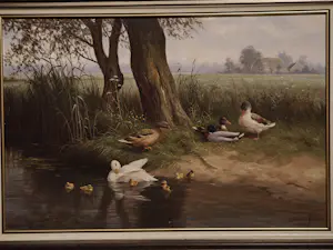 Ron Meilof - Eendjes kopen? Bied vanaf 695!