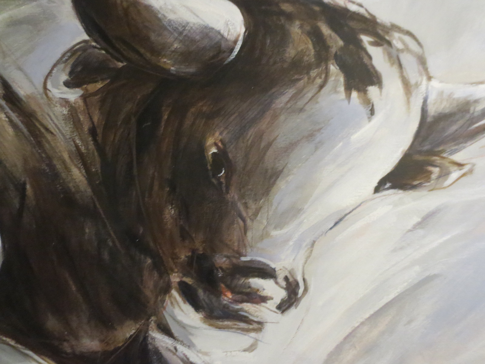 Evert van Hemert - stier kopen? Bied vanaf 45!