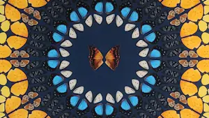 Damien Hirst - Psychedelic - Handgesigneerd - 180 exemplaren kopen? Bied vanaf 7995!