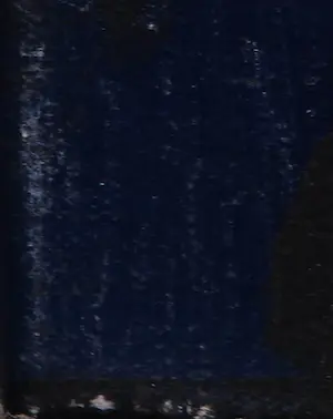 Cobi Nieuwstad - Acryl op doek, Nachtschade kopen? Bied vanaf 1!