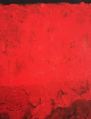 John Foppen - Symphony In Red Plus......#K03.XL. GROOT. kopen? Bied vanaf 165!