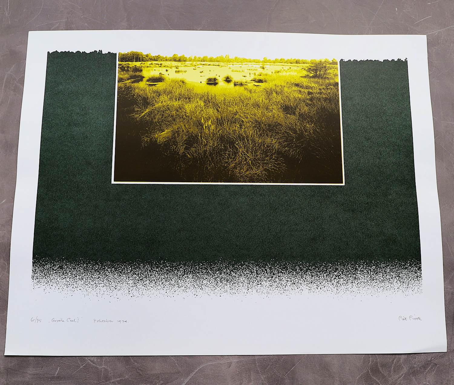 Piet Fioole - Fraaie, in 1974 gemaakte kleuren zeefdruk "Groote Peel I" - bep. oplage (75) kopen? Bied vanaf 45!