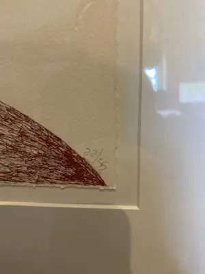 Hans van der Ham - De dagen van Mercurius 4 - litho - 65x50 kopen? Bied vanaf 55!