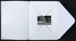 Marlene Dumas - Nobuyoshi Araki, Tracy Emin e.a. - Visionaire 46 UNCENSORED by Mario Testino kopen? Bied vanaf 250!