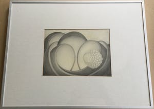 Sjaak Mous - Mysterie van de bevruchting | unieke potloodtekening (1974) - ingelijst kopen? Bied vanaf 17!
