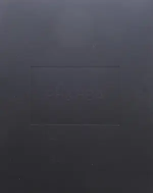 Pieter Hugo - Foto uit de serie PH&HBA inclusief bijbehorend boek kopen? Bied vanaf 395!