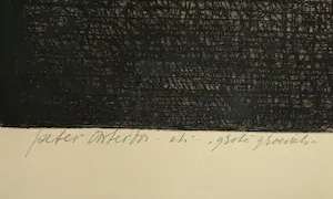 Peter Oosterbos - grote groeisel - ingelijste ets - gesigneerd kopen? Bied vanaf 40!