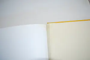 Bob ten Hoope - Annette, gesign ten Hoope/ A. Morriën, opl. 91/150 & 2 boeken:etsen/schilderijen kopen? Bied vanaf 30!