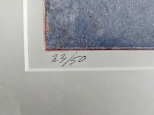 Marcel Schellekens - Koi karpers kopen? Bied vanaf 300!