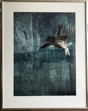 Jan Fabre - Often I feel betrayed kopen? Bied vanaf 375!