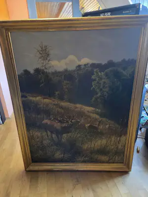 Carl Zimmermann - Schreiender Hirsch kopen? Bied vanaf 1800!