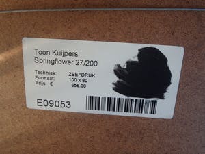 Toon Kuijpers - getiteld Spring Flower kopen? Bied vanaf 90!