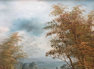 Clara Davis Inness - Huisje in het bos kopen? Bied vanaf 10!