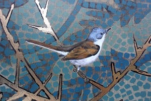 Valentin Bakardjiev - Olieverf op doek: Grasmus op gestilleerde achtergrond - 2010 kopen? Bied vanaf 225!