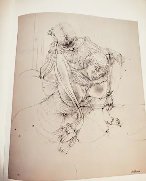 Hans Bellmer - The Drawings of Hans bellmer kopen? Bied vanaf 20!