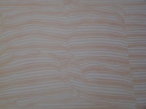 Har Sanders - INGEDUT KUSSEN kopen? Bied vanaf 55!