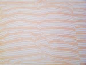 Har Sanders - INGEDUT KUSSEN verkocht voor € 55!