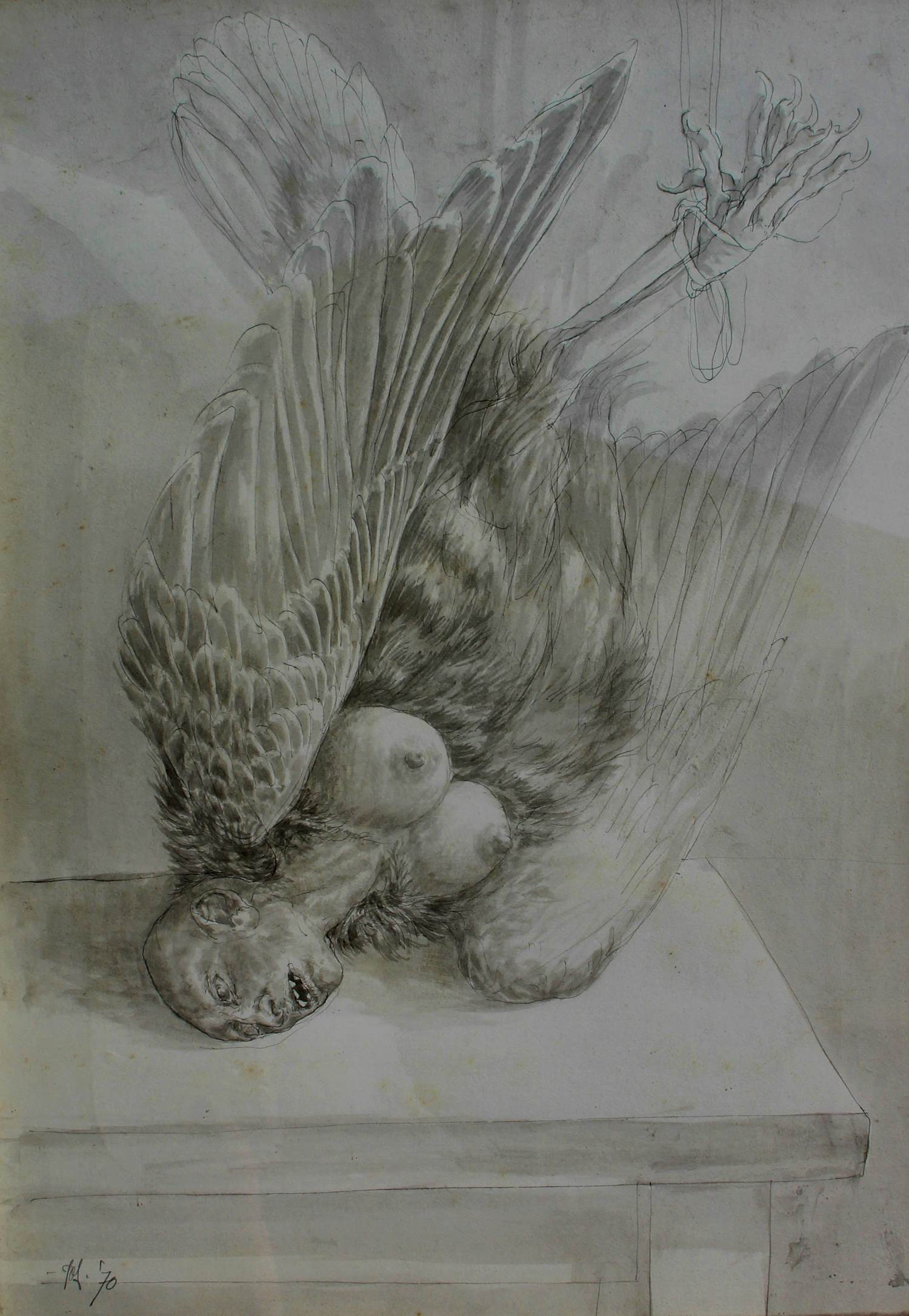 Peter Vos - grote ingelijste tekening: Stilleven van een "harpy" - 1970 kopen? Bied vanaf 595!