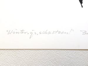 Ben Aalbers - Winter kopen? Bied vanaf 20!