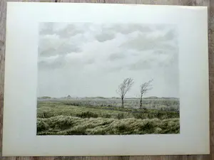 Edgar Fernhout - Litho: Noord Hollands landschap kopen? Bied vanaf 20!
